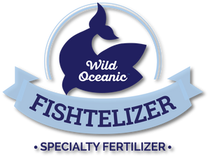 fish fertilizer for plants, best fertilizer for outdoor plants, best liquid fertilizer, fertilizer for indoor plants, all purpose fertilizer,  best fertilizer for lawns, best fertilizer for golf course, npk fertilizer, alaska fish fertilizer, best fertilizer for vegetables at home, grow fruits and vegetables at home,  fish emulsion, liquid organic fertilizer, soil enhancer, disease resistant fertilizer, phosphorous fertilizer, powder fertilizer